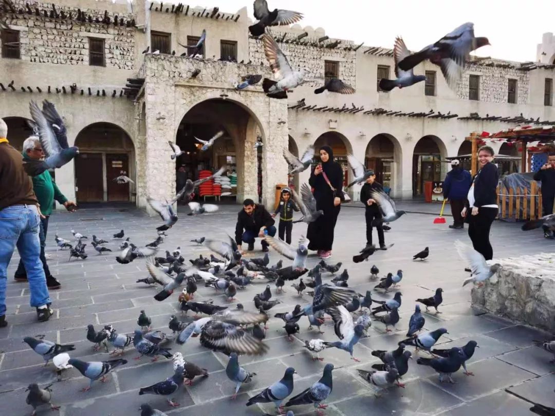 卡塔尔瓦吉夫老市场,卡塔尔批发市场