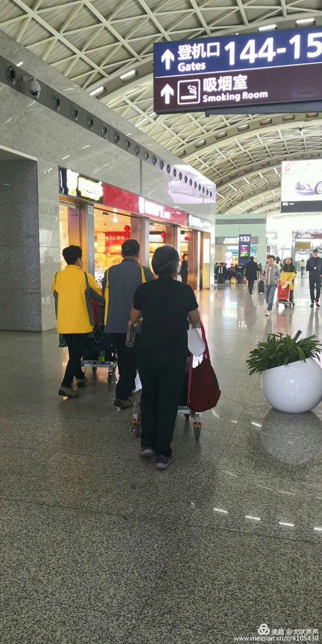 花甲后的新西兰自驾之旅（一）