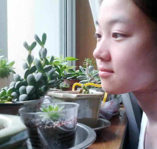 鹿角海棠叶子为何发皱,鹿角海棠干瘪发皱了如何救活