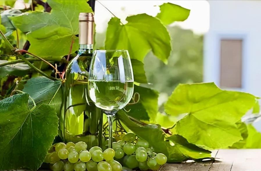 红酒入门如何挑选葡萄酒,红酒怎么选购的技巧图解视频