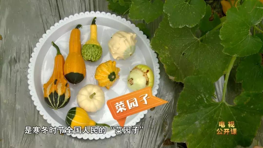 广西的产业发展趋势与政策,广西农业发展趋势与政策研究