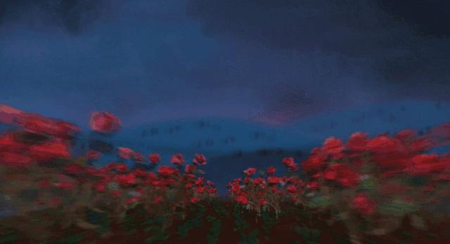 槽糕，是心动的感觉！这个神秘花谷正在悄然绽放！走，去拍照～