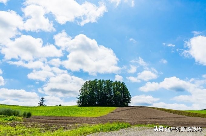 富良野一日游经典路线,日本北海道富良花海