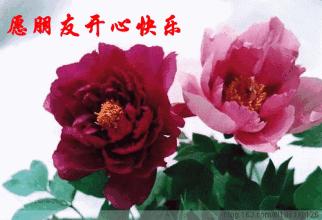 正月初九最美的祝福,正月初九的祝福