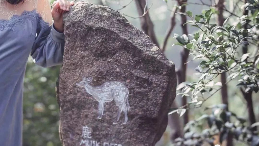 莫干山裸心谷,莫干山裸心谷住宿