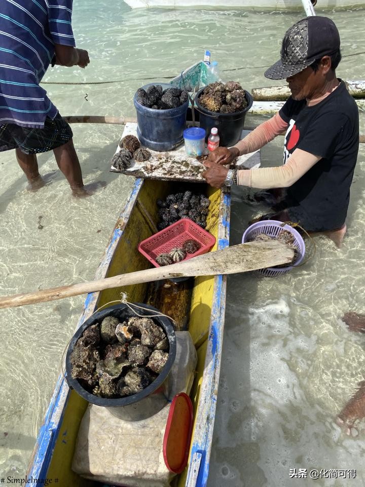 600元玩转澳门三天两夜全攻略,5000块钱玩菲律宾六个海岛