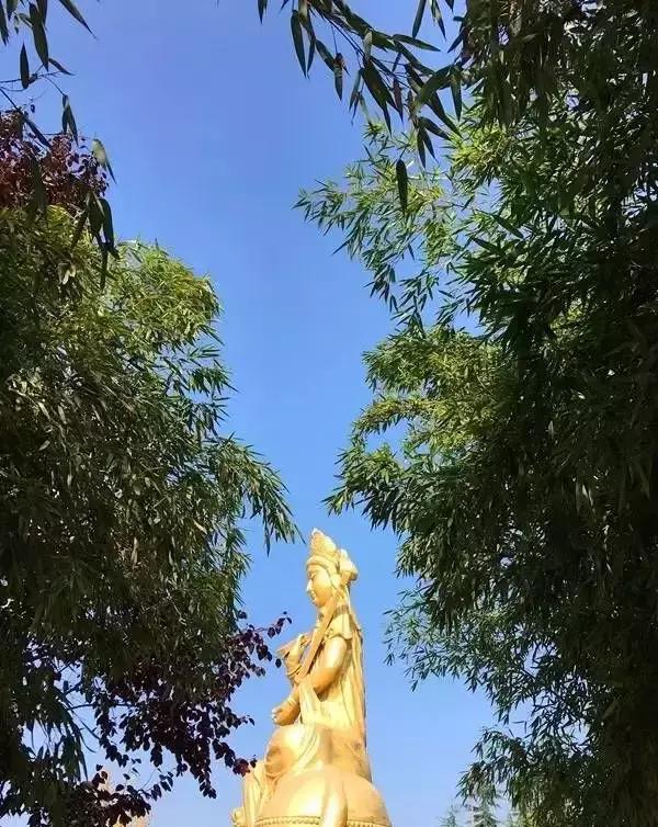 西安景区门票降价了吗现在,陕西7月份免门票景点大全