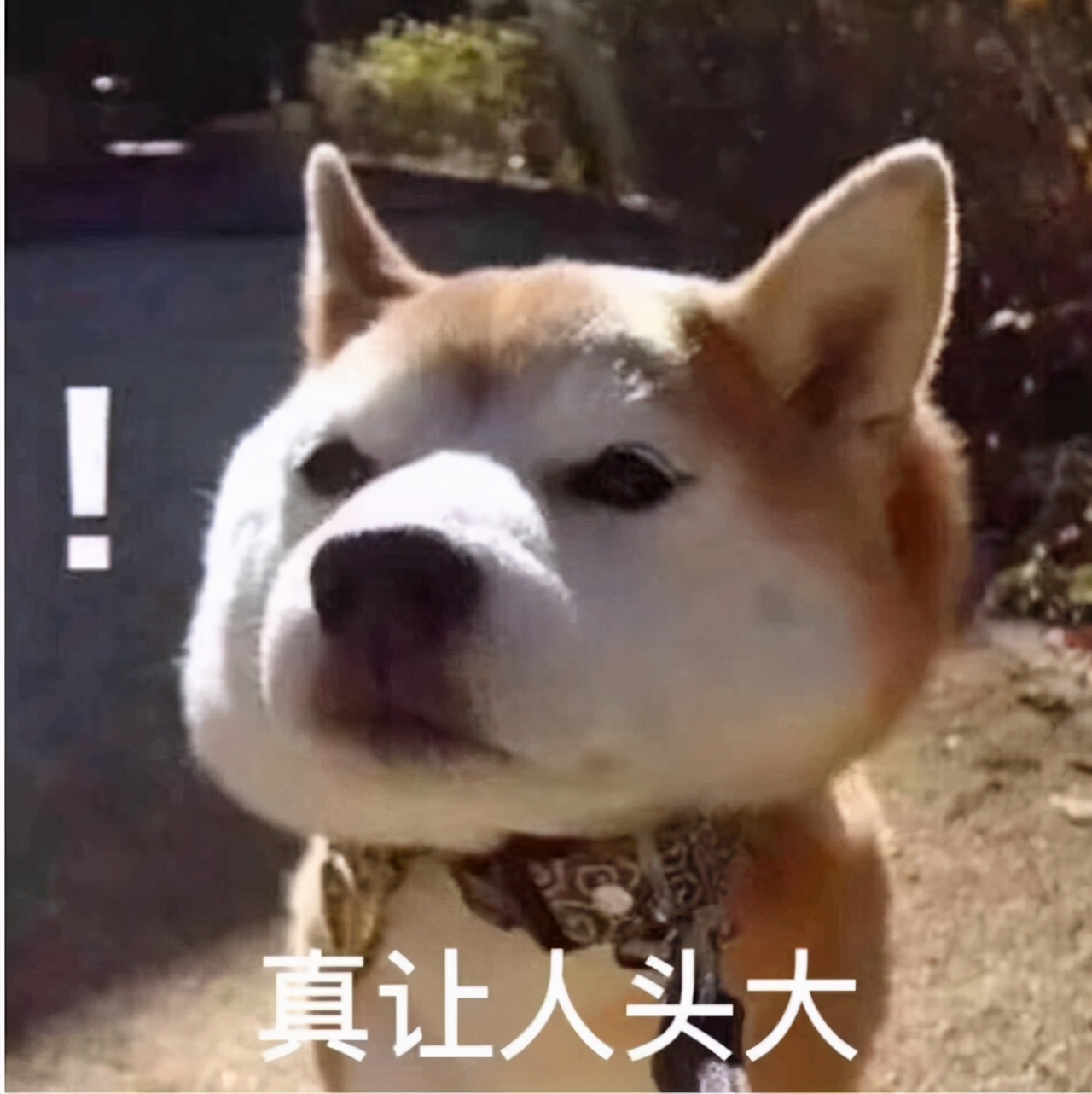 上海商住公寓出售,上海商住两用公寓出售表