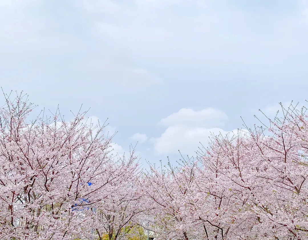 如何拍出漂亮的云朵视频,如何拍出好看的云朵视频