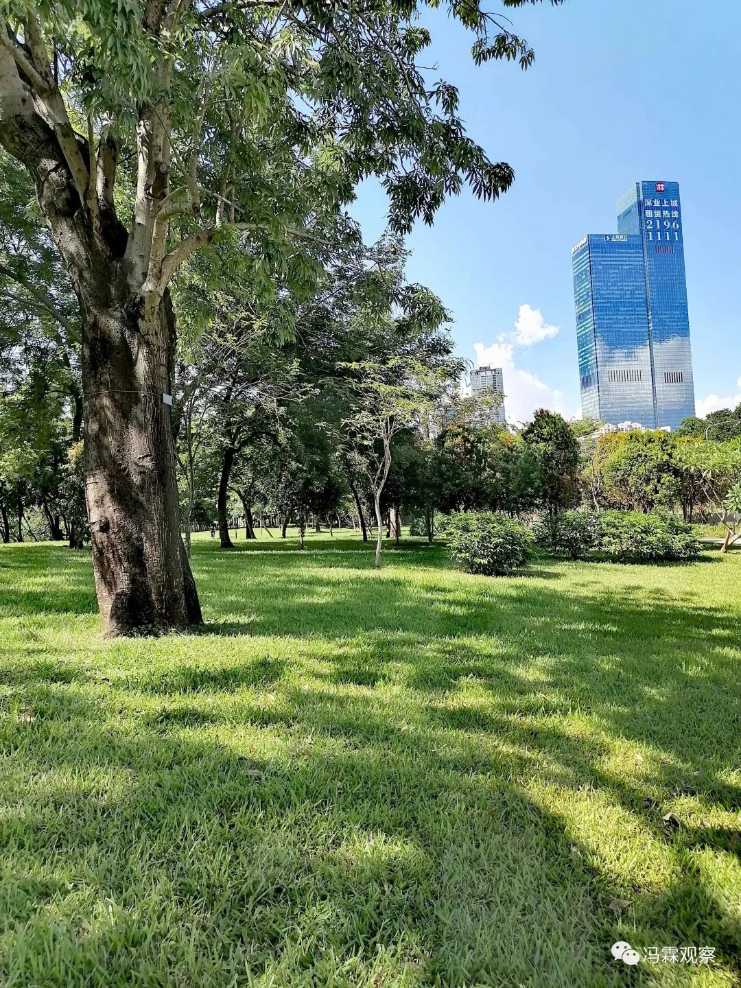 从清茶中飘出来的悠美短文！（文化观察之一O三）