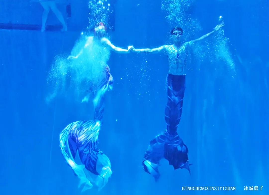 走进哈尔滨完整视频,走进哈尔滨海洋馆