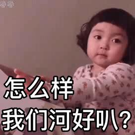 表情包：怎么样，我们河好吧