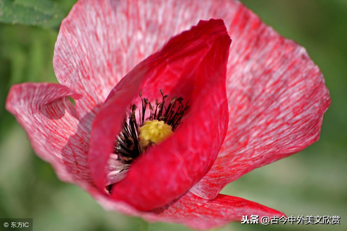 名字这种东西太难取,名字这东西真的很重要吗