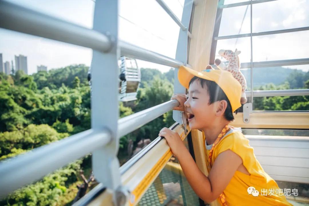 长隆飞鸟乐园长隆熊猫酒店怎么选,周一长隆野生动物园游玩攻略