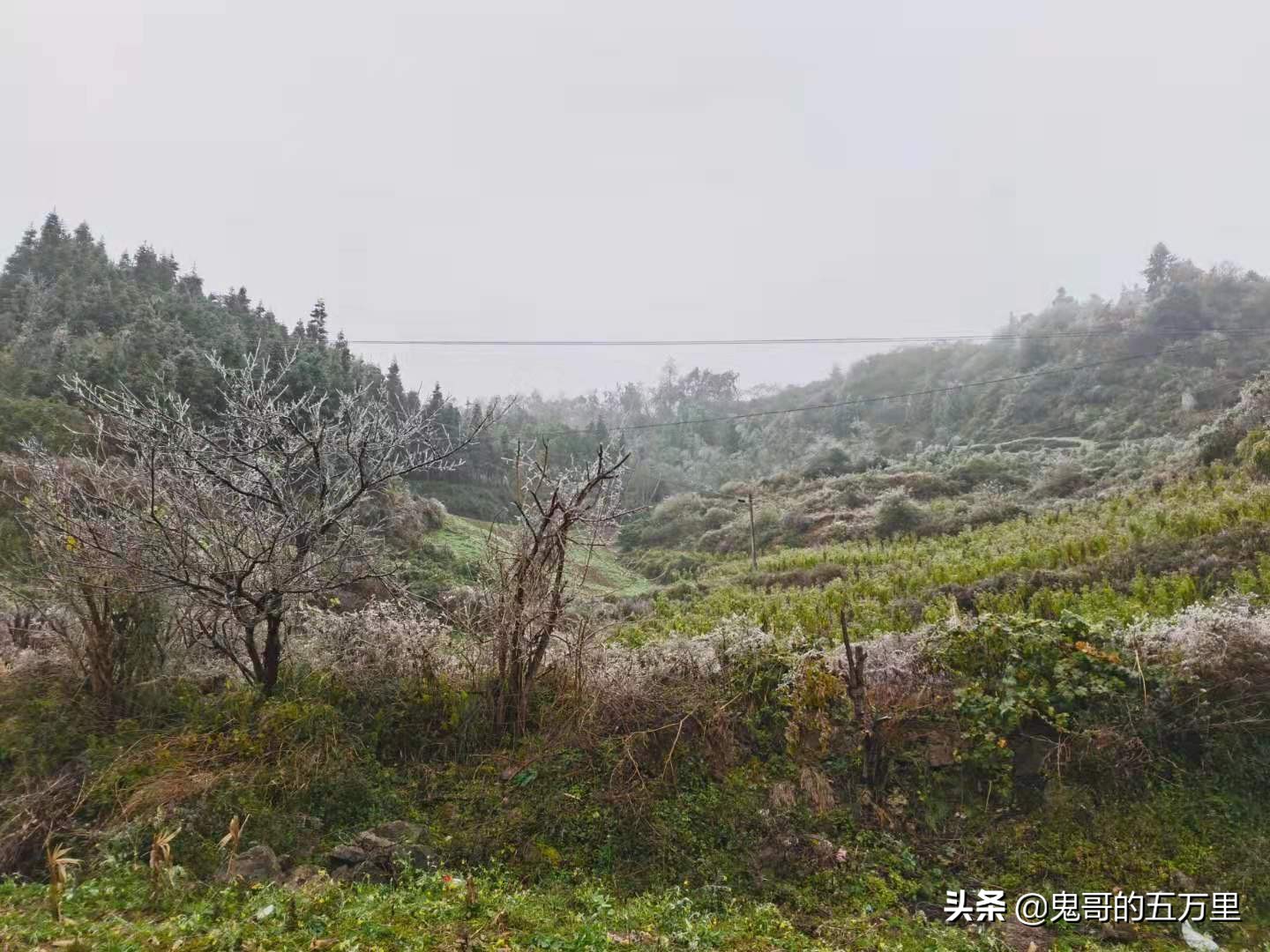 鬼哥的五万里D118骑记：云南，未来可期,泸西县-罗平县