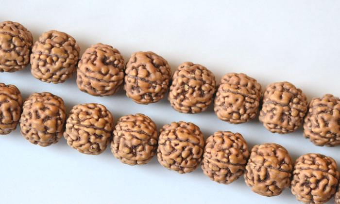 金刚菩提最全纹路解析,大金刚菩提纹路种类图解