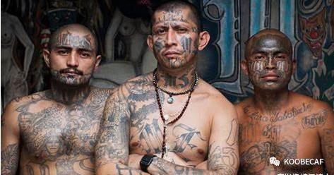 美国拉丁裔帮派,美国白人帮派落寞