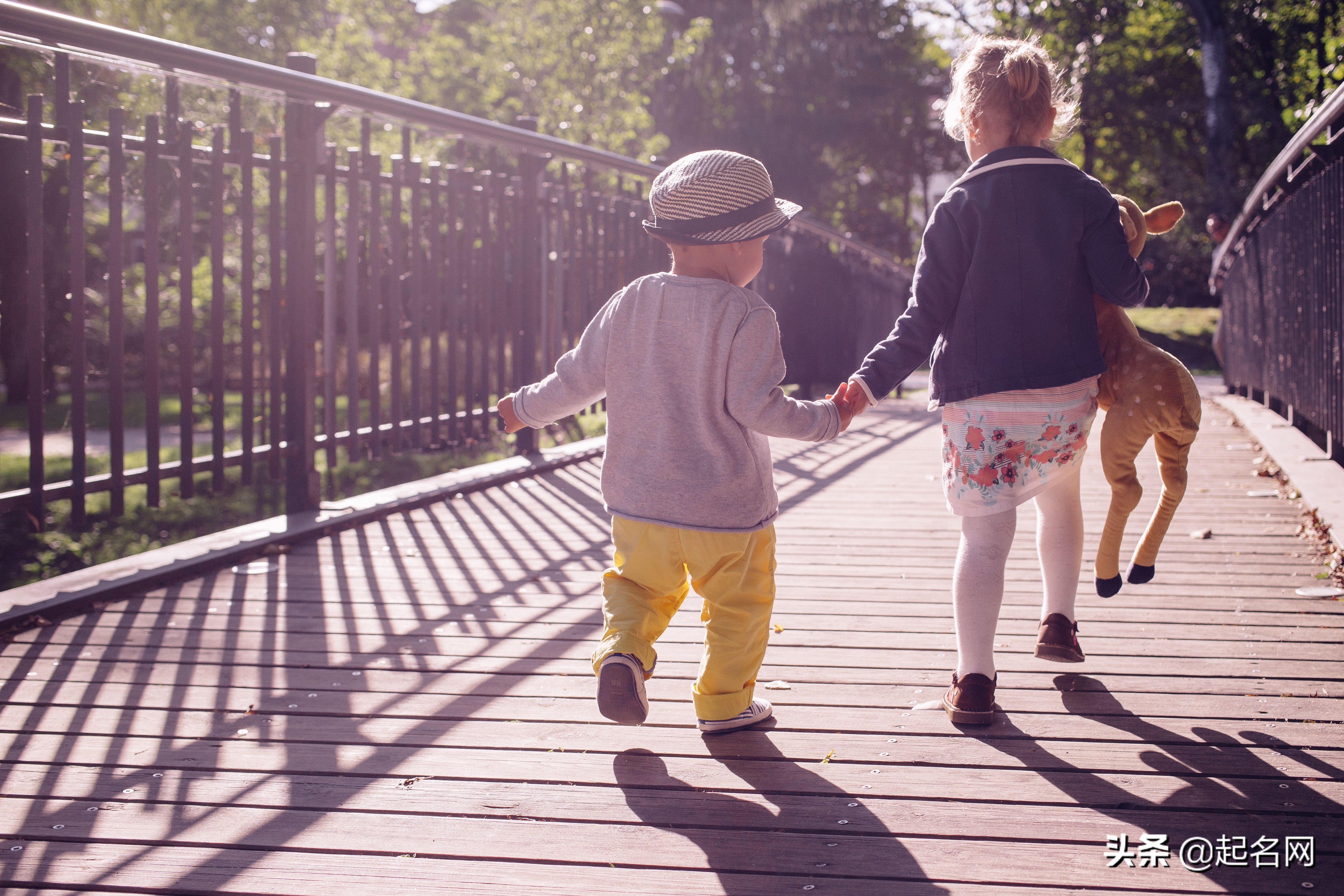 海豚音般余音绕梁的女孩名字,如海豚音般的名字