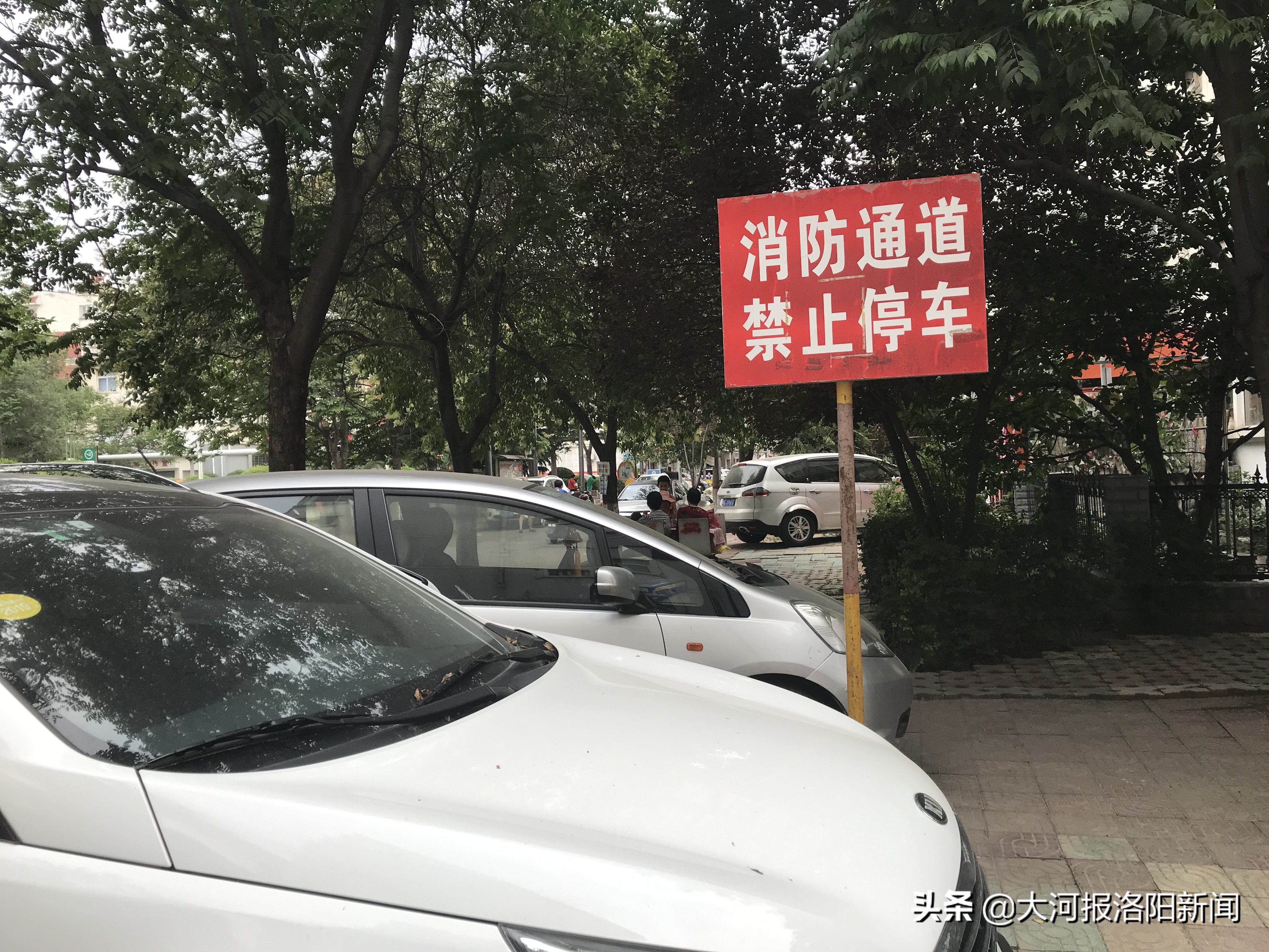 河南洛阳:一小区出现奇葩规定,单日单号车进、双日双号车进