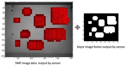 视觉芯片和图像传感器,图像传感器扫描
