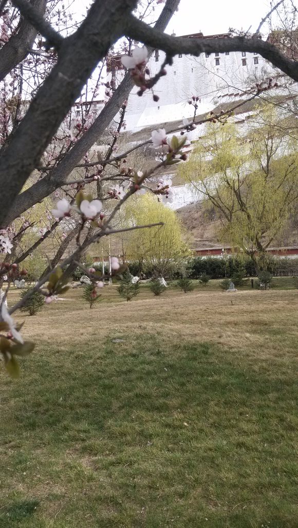 虽是旧回忆,可做新记录(一)——从2014年说起