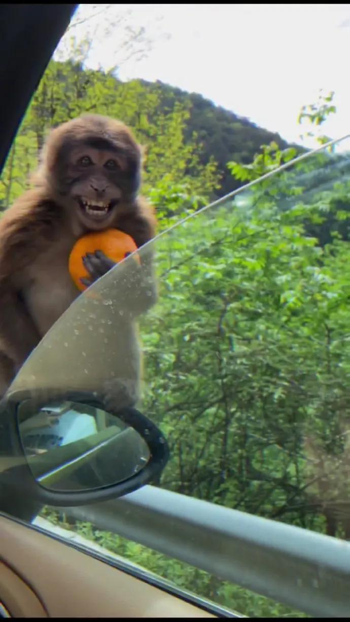 老公经常不在家怎么相处,老公失业在家做点什么能挣钱