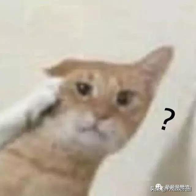 I.O.I又一次被传重组,还能信吗?