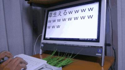 二手u盘为什么贵,旧u盘