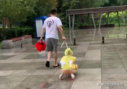 带娃玩扭扭车漂移,萌娃扭扭车漂移