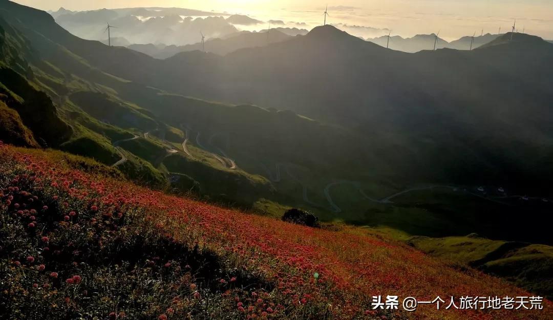 国庆旅游宝藏景点,还有哪些宝藏小众旅游地