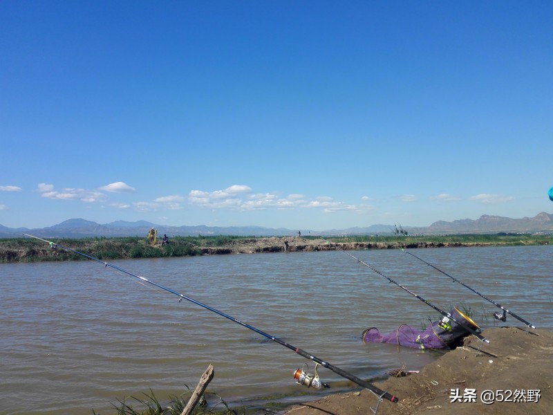 久违的蛙鸣声瞬间忆起童年的趣事,久违的蟋蟀声音