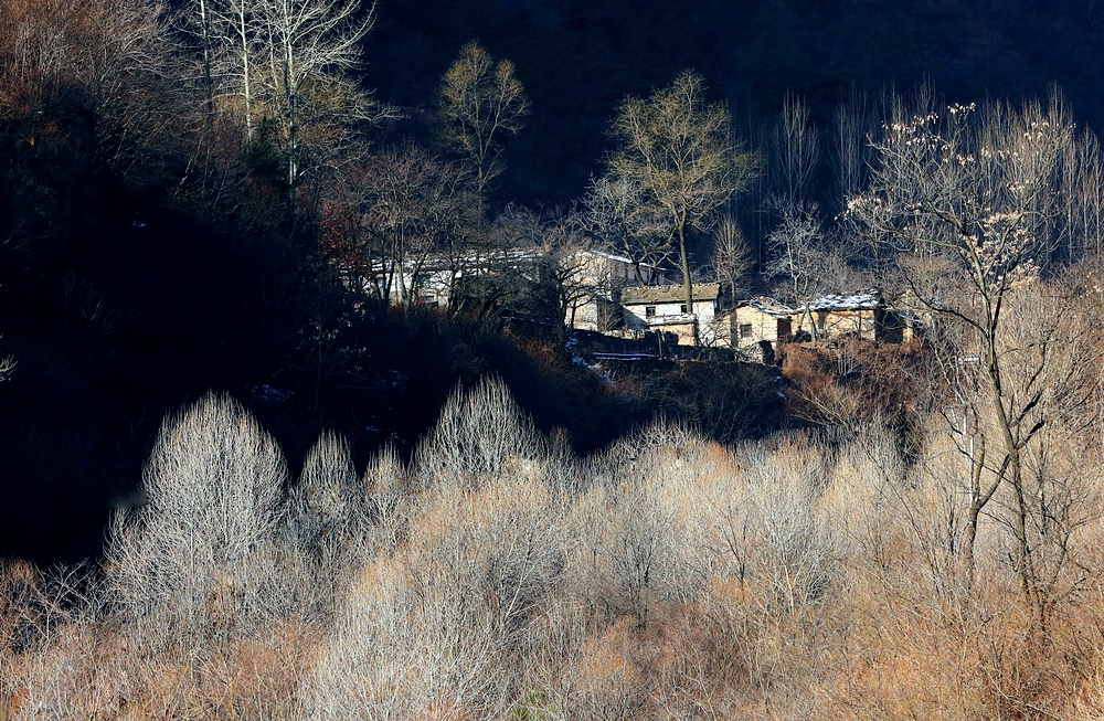 太行网红打卡地,打卡网红松柏公园