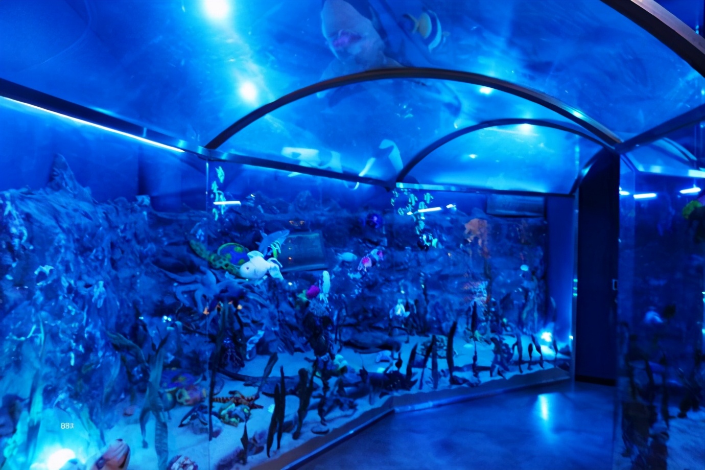 济州岛泰迪熊博物馆,济州岛泰迪熊博物馆圣诞节