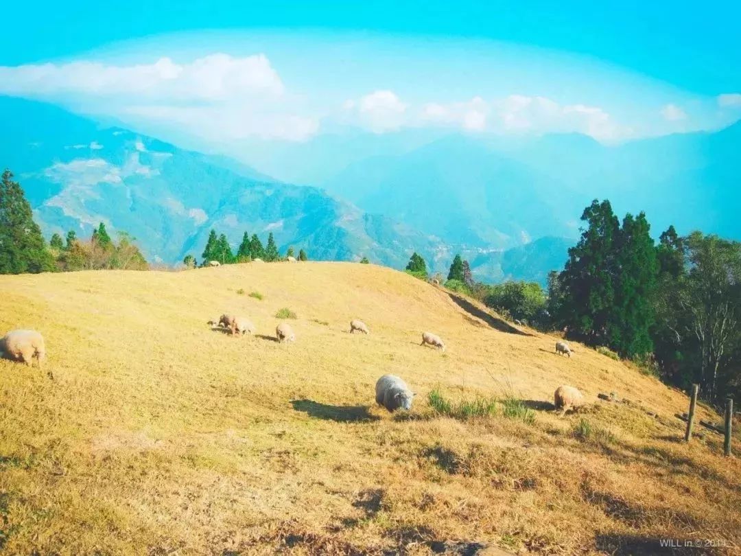 台湾文创标杆——清境农场!