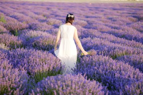 交友软件哪个适合中年人,附近的人交友软件哪个好