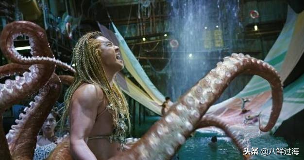 可爱的章鱼适合做章鱼烧,制作一个小型章鱼烧