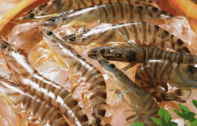 生鲜速达!诸城冷链物流渤海智慧易购生鲜商城正式上线