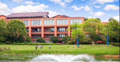 除了抖腿，武汉人还能怎样度过寒冬？