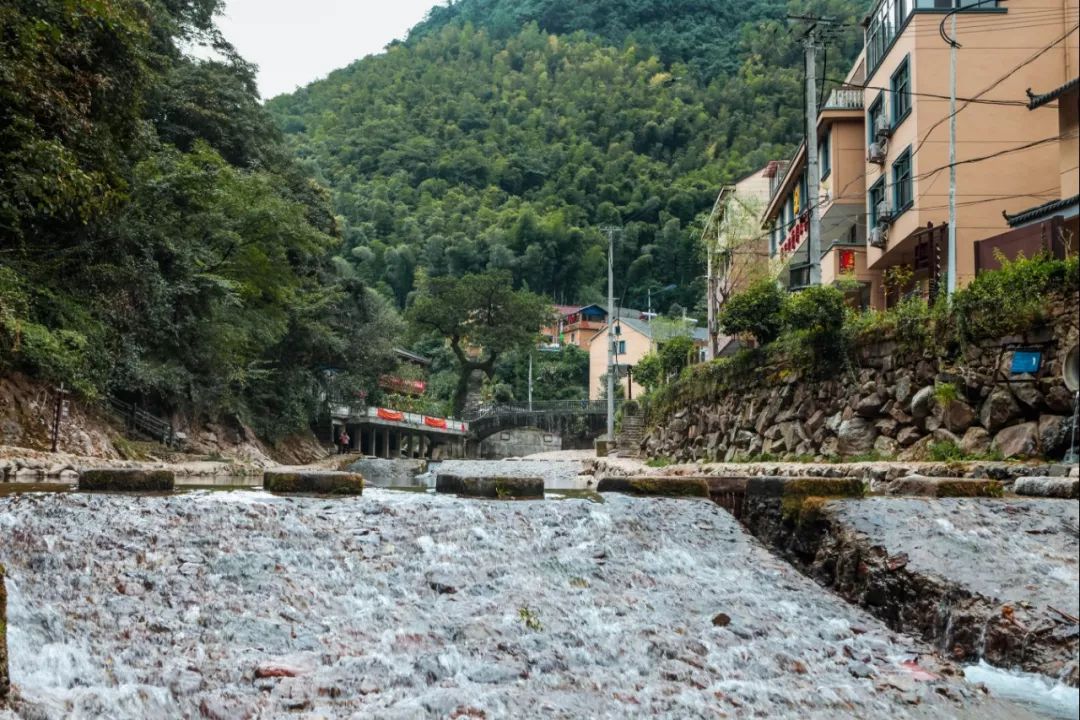 金华小九寨风景区,小九寨原始森林半日游