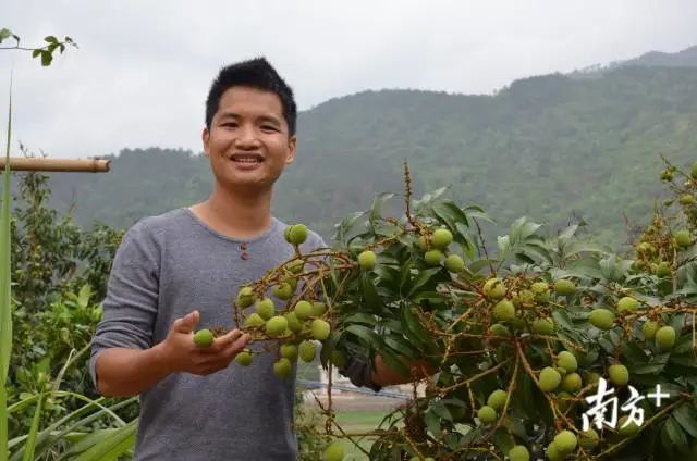 荔枝大王陈小敏直播卖货数据,荔枝大王陈小敏现在怎么样了