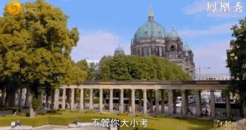 8.1国产良心,分分钟救你「狗命」