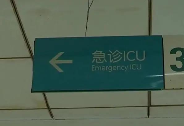 男子吃这鱼中毒，医生：无解药！曾有人误食身亡