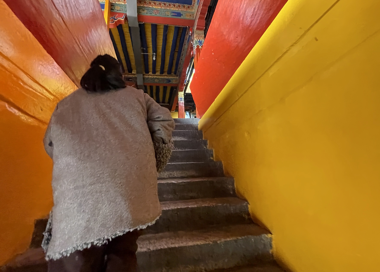 游1300年历史大昭寺，遇17岁无证导游，她说已做了四年讲解