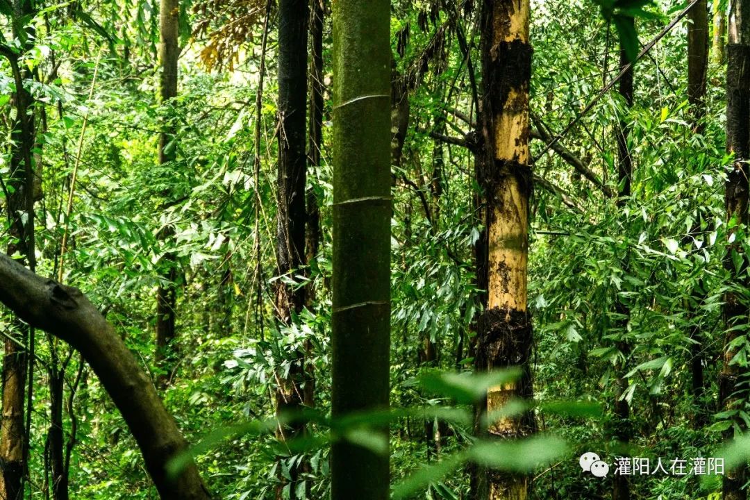 广西桂林灌阳县旅游,灌阳人在柳州