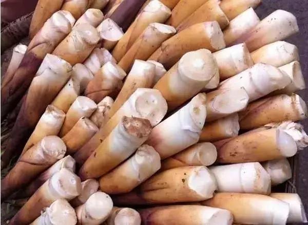 四川正宗川菜历史,传统川菜以什么味道为主