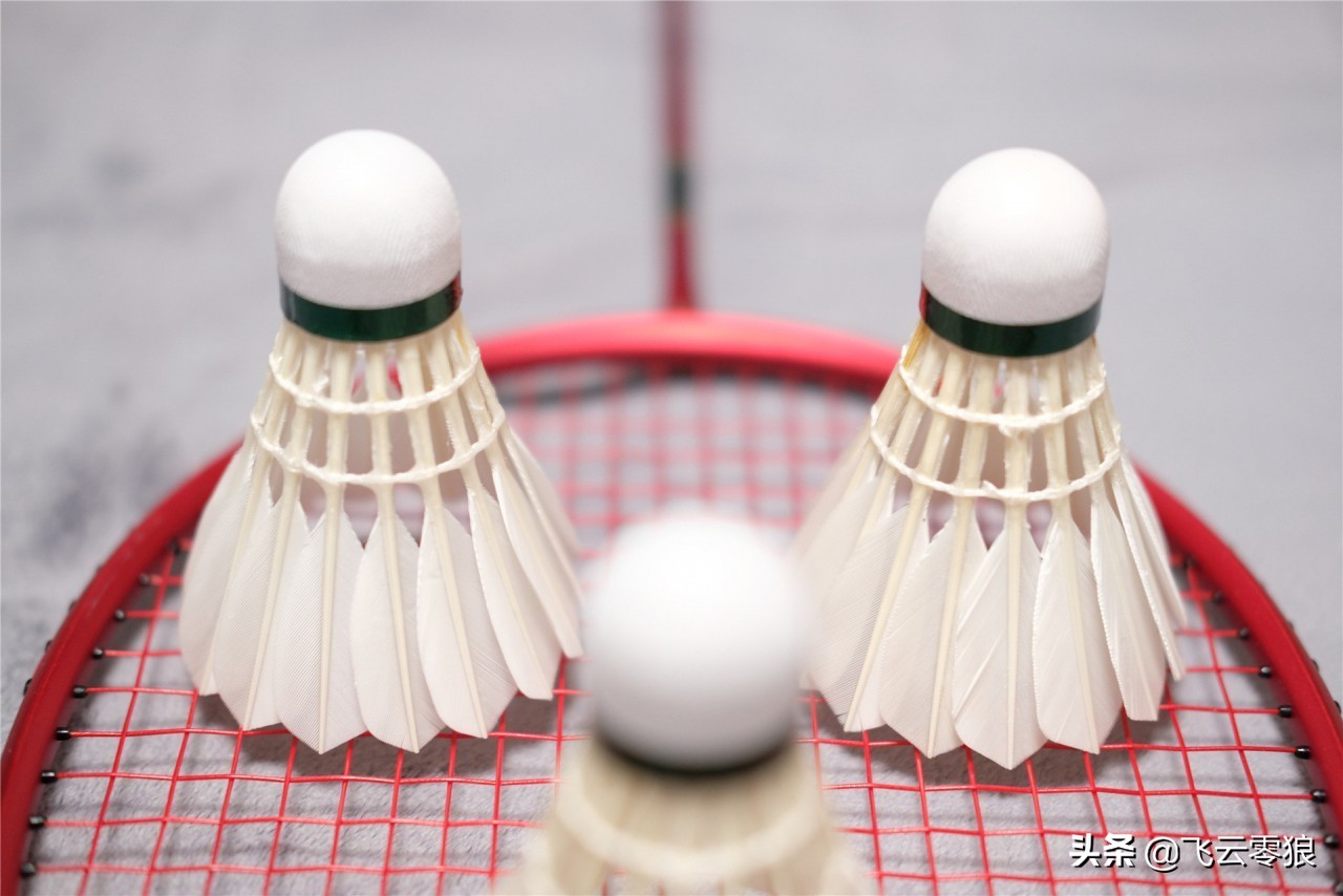 「中羽在线飞云零狼」威羽斯钻一钻二钻五评测——高性价比鹅毛球