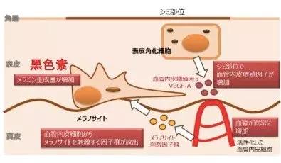 今年到底值不值得买,到底值不值得买