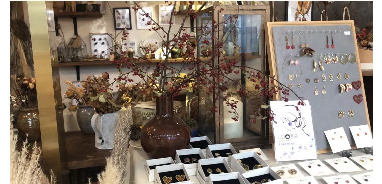 植物之美在于万物皆有情愫,植物之美有哪些