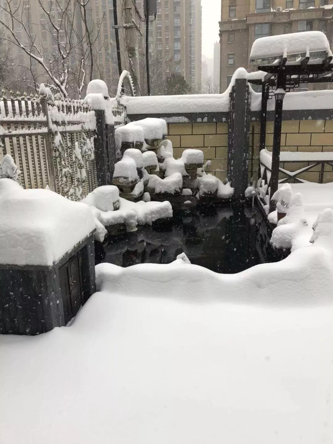 涨知识海洋食物链,涨知识原来鱼卵是这样孵化的