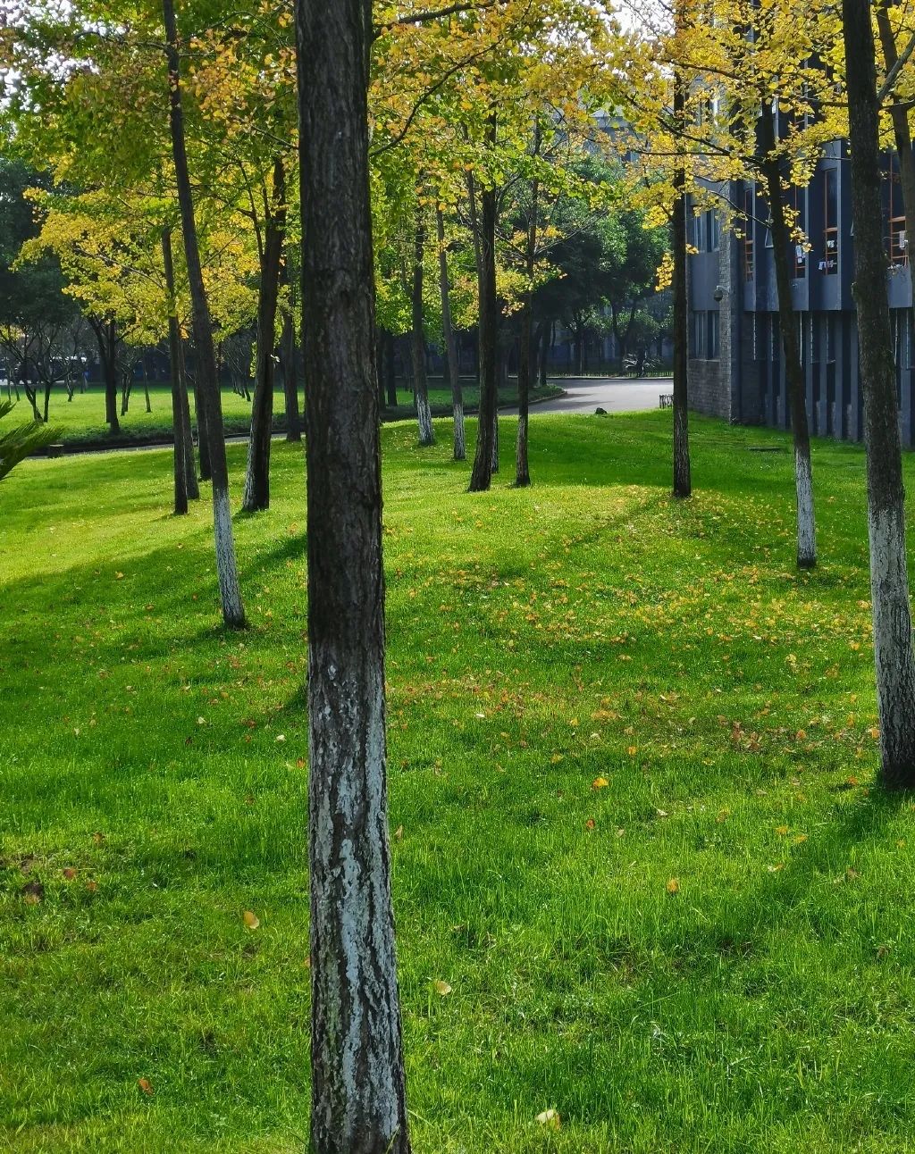 东软，青城山下最大的养老院型综合网吧